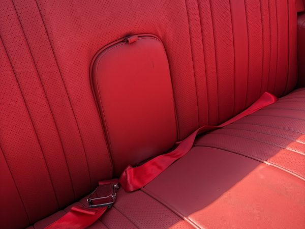 IMG_2080