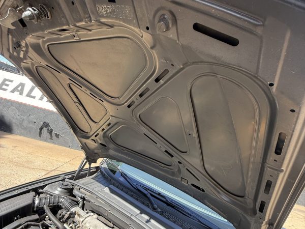 IMG_7135