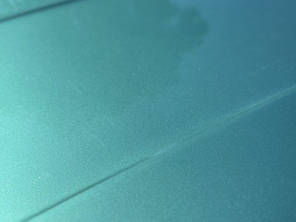 IMG_7953