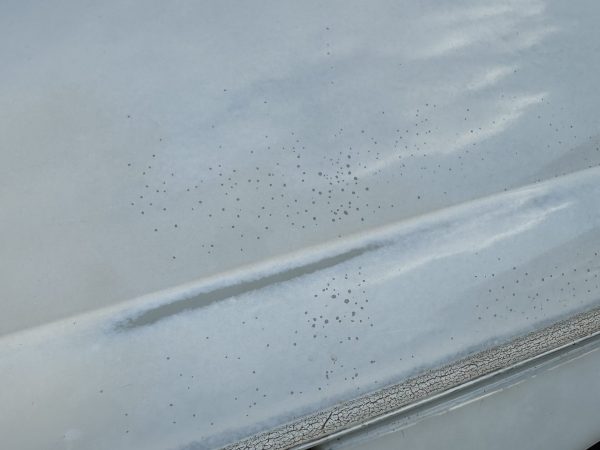 IMG_8287